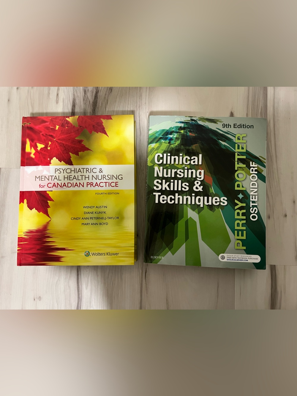 2/4 Nursing Textbook Bundle